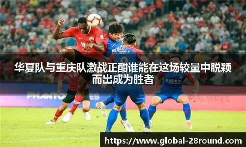28圈官网